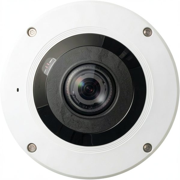 Samsung Wisenet 12MP Outdoor Fisheye Camera 360 Coverage-1